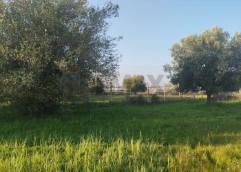 Giardino - Villa Contrada Stafenna, Noto - photo 3