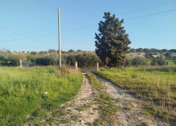 Giardino - Villa Contrada Stafenna, Noto - photo 6