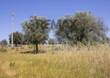 Giardino - Villa Contrada Stafenna, Noto - photo 11