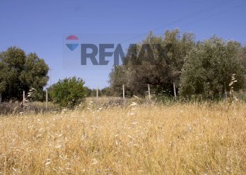 Giardino - Villa Contrada Stafenna, Noto - photo 13