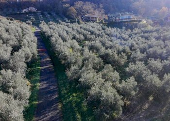 Vista delle montagne - Agricultural land Strada Belvedere
 
snc, Chieti - photo 2