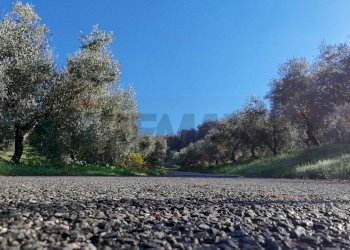 Vista dell\'acqua - Agricultural land Strada Belvedere
 
snc, Chieti - photo 7