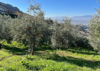 Vista delle montagne - Agricultural land Strada Belvedere
 
snc, Chieti - photo 8