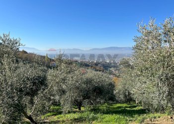Vista delle montagne - Agricultural land Strada Belvedere
 
snc, Chieti - photo 10