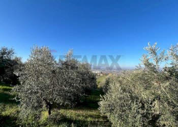 Non correlato - Agricultural land Strada Belvedere
 
snc, Chieti - photo 11