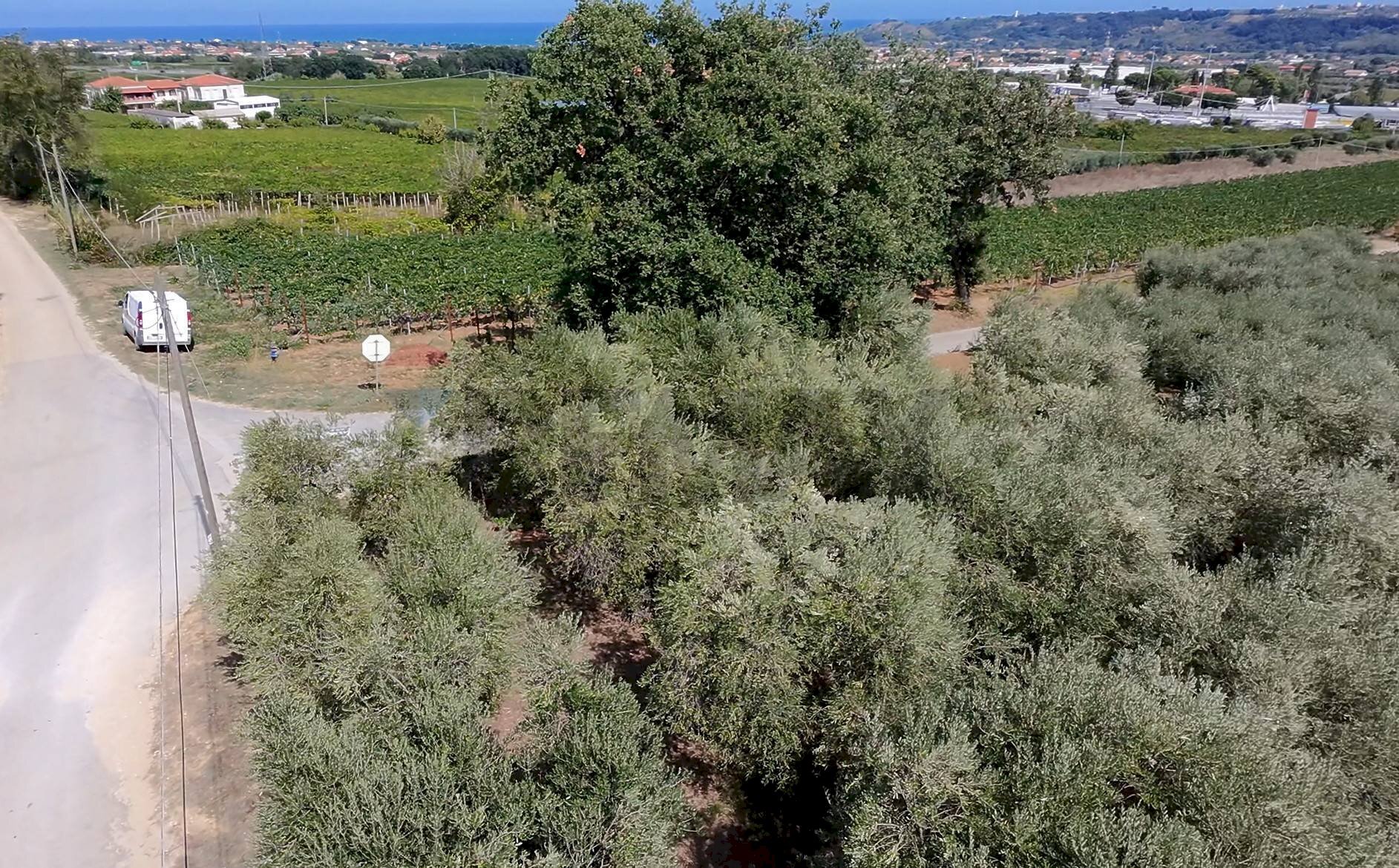 Vista delle montagne - Terreno edificabile C.da Cerreto, Miglianico - foto 1