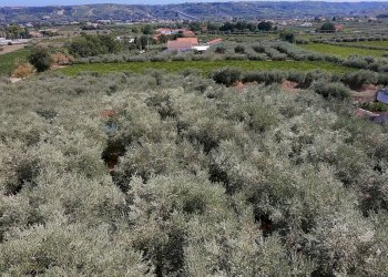 Vista delle montagne - Terreno edificabile C.da Cerreto, Miglianico - foto 3
