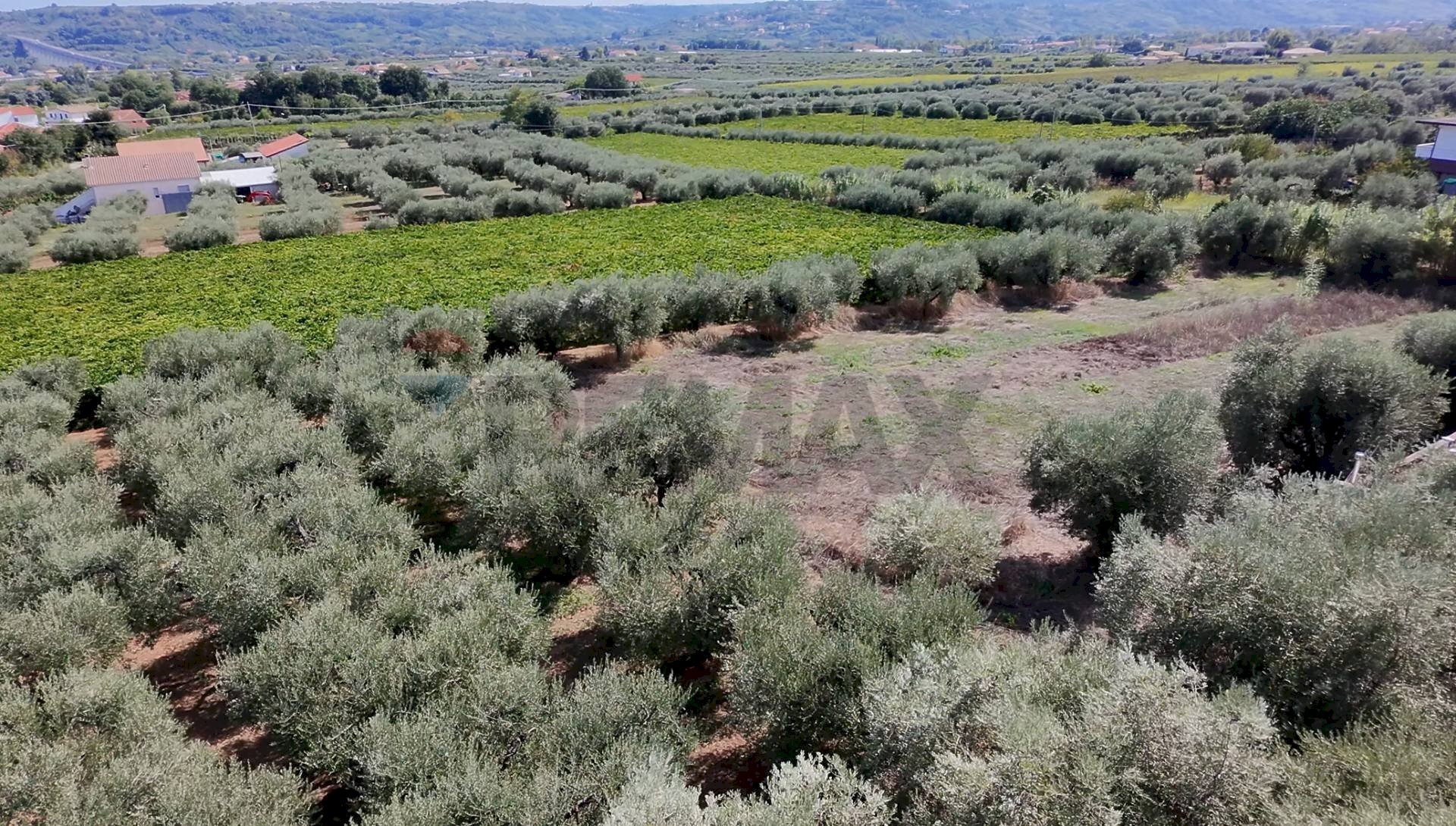 Vista delle montagne - Terreno edificabile Miglianico - foto 1