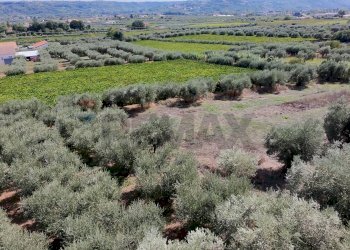 Vista delle montagne - Terreno edificabile Miglianico - foto 1