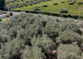 Posizione della mappa - Terreno edificabile Miglianico - foto 2