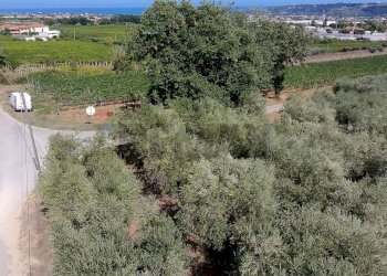 Vista delle montagne - Terreno edificabile Miglianico - foto 3