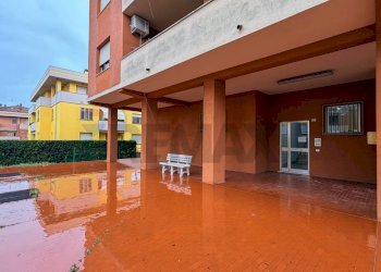 Terrazza - Trilocale Largo 2 Querce
 
1, Monsano - foto 26