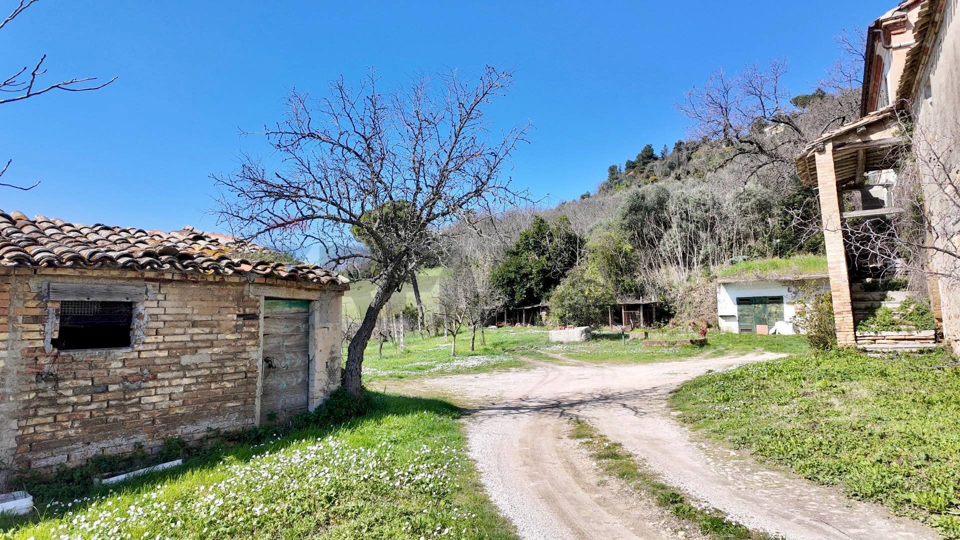 Giardino - Independent house Ancona - photo 2