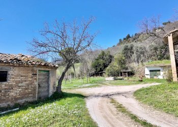 Giardino - Rustic Ancona - photo 11