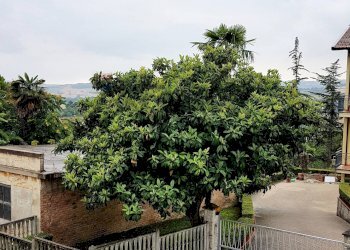 Edificio all\'aperto - Bilocale Ancona - foto 3