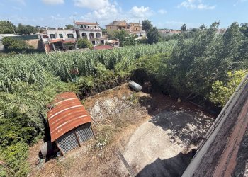 Giardino - Independent house San Felice Circeo - photo 6