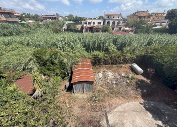 Giardino - Independent house San Felice Circeo - photo 19