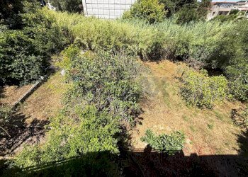 Giardino - Independent house San Felice Circeo - photo 35