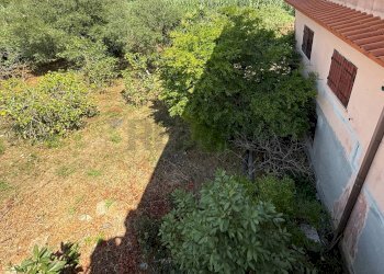 Giardino - Independent house San Felice Circeo - photo 36