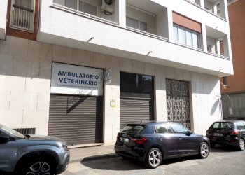 Foto 3 - Ufficio Via Canova
41, Torino - foto 3
