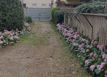 Foto 10 - Casa indipendente 4, Inveruno - foto 10