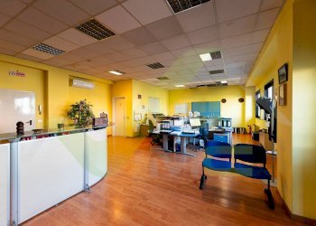 Foto 3 - Capannone VIA PASUBIO, Tribiano - foto 3