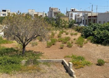 Foto 14 - Independent house via Japigia
 
55, Morciano di Leuca - photo 14