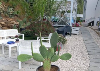 Giardino - Casa semi indipendente contrada  Costa di Bisaccia
 
39, Partinico - foto 4