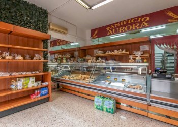 Dispensa di stoccaggio - Appartamento VIA CACCIATORI DELLE ALPI, Vittoria - foto 12