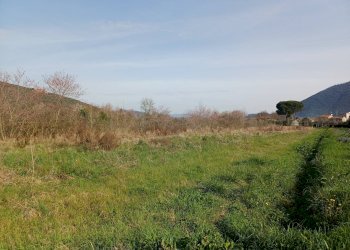 Foto 1 - Terreno agricolo via giuseppe verdi
-, Vecchiano - foto 1