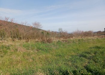 Foto 2 - Terreno agricolo via giuseppe verdi
-, Vecchiano - foto 2