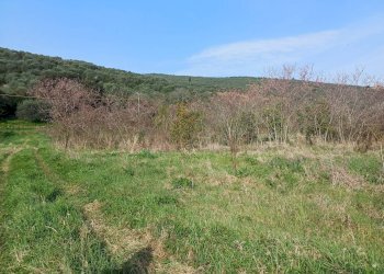 Foto 3 - Terreno agricolo via giuseppe verdi
-, Vecchiano - foto 3