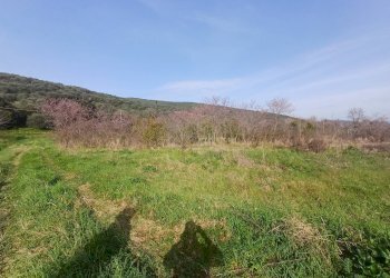 Foto 4 - Terreno agricolo via giuseppe verdi
-, Vecchiano - foto 4