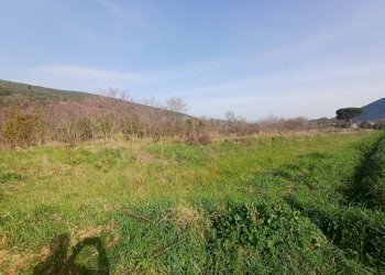 Foto 6 - Terreno agricolo via giuseppe verdi
-, Vecchiano - foto 6