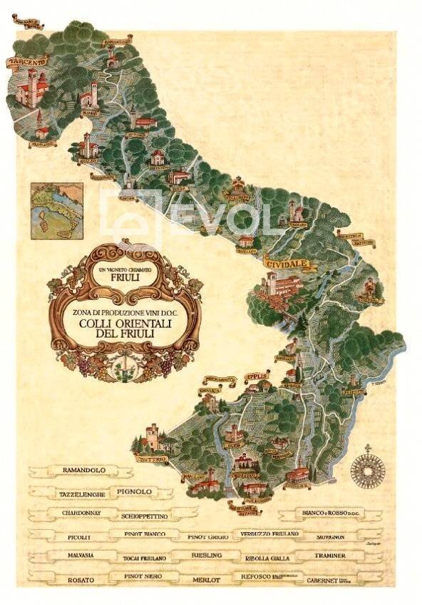 Foto 2 - Azienda agricola Piazza XXVII Maggio
 
11, Corno di Rosazzo - foto 2