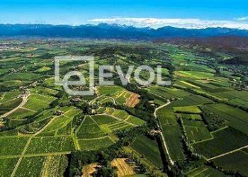 Foto 1 - Azienda agricola Piazza XXVII Maggio
 
11, Corno di Rosazzo - foto 1