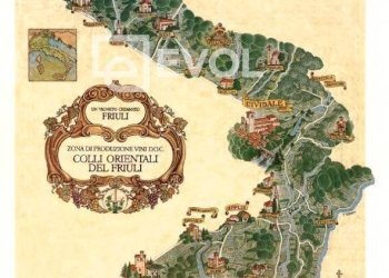 Foto 2 - Azienda agricola Piazza XXVII Maggio
 
11, Corno di Rosazzo - foto 2