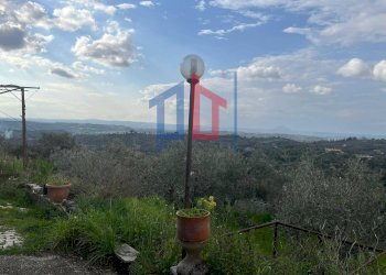 Foto 15 - Agriturismo Via dei Ferrari
 
17, Palombara Sabina - photo 15