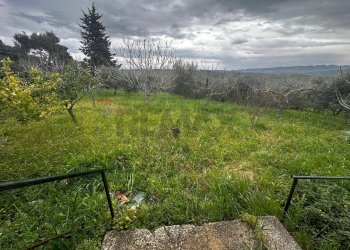 Giardino - Villa contrada Bommarito, San Cipirello - foto 14