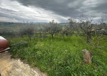 Giardino - Villa contrada Bommarito, San Cipirello - foto 15