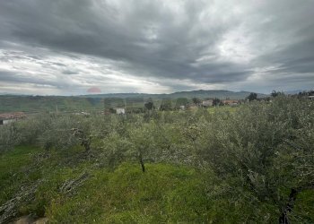 Vista delle montagne - Villa contrada Bommarito, San Cipirello - foto 16