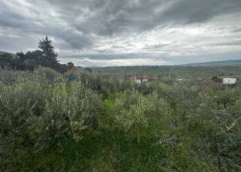 Vista delle montagne - Villa contrada Bommarito, San Cipirello - foto 20