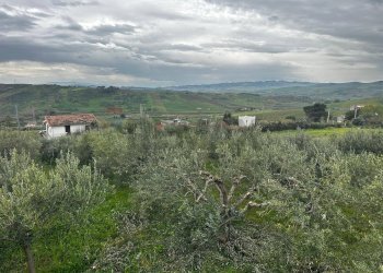 Vista delle montagne - Villa contrada Bommarito, San Cipirello - foto 23