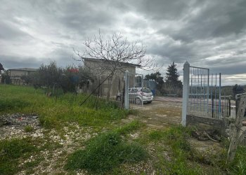 Giardino - Villa contrada Bommarito, San Cipirello - foto 24