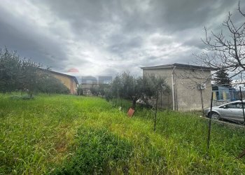 Giardino - Villa contrada Bommarito, San Cipirello - foto 25