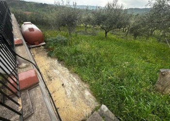 Giardino - Villa contrada Bommarito, San Cipirello - foto 26
