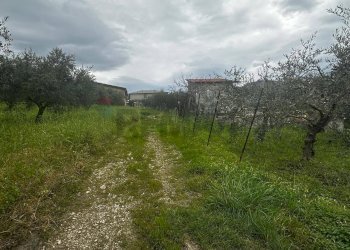 Giardino - Villa contrada Bommarito, San Cipirello - foto 29