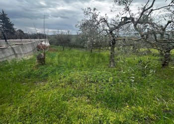 Giardino - Villa contrada Bommarito, San Cipirello - foto 32