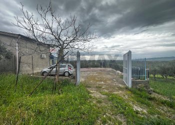 Giardino - Villa contrada Bommarito, San Cipirello - foto 34