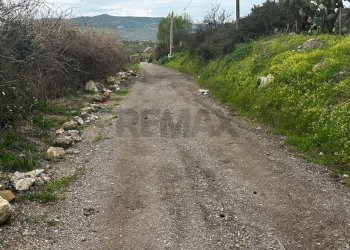 Giardino - Villa contrada Bommarito, San Cipirello - foto 36